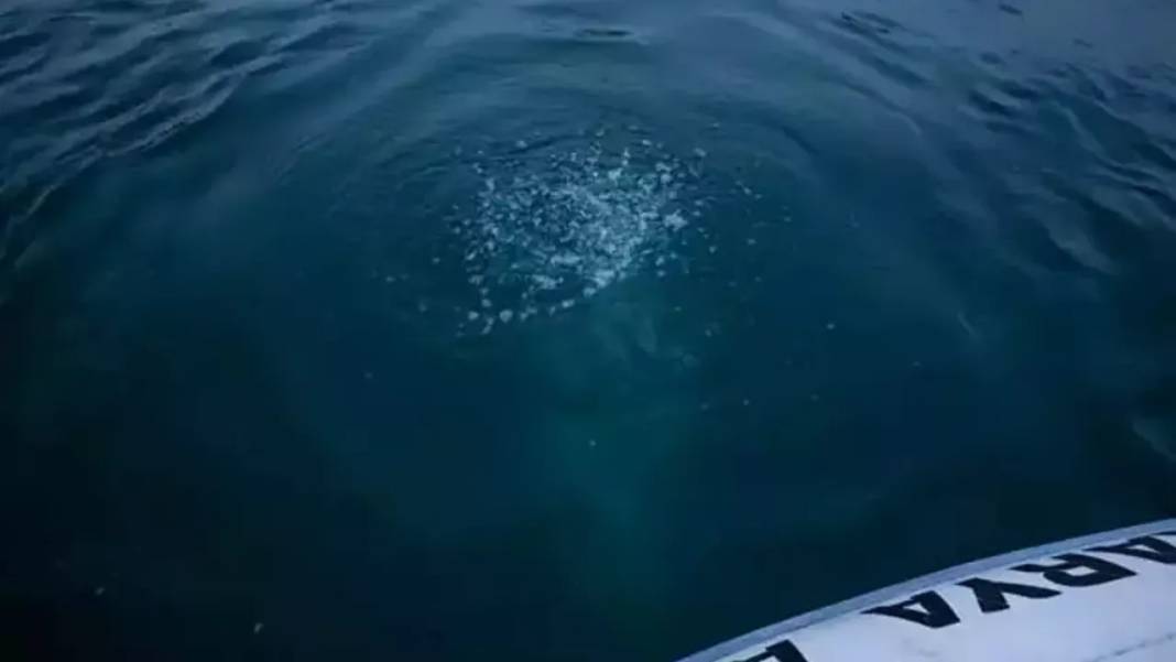 Sapanca Gölü’ndeki kabarcıklar panik yarattı: Depremin işareti mi? Uzmandan net açıklama 7